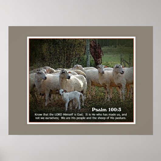 De schapen van Zijn PasturewScripture Poster (Voorkant)