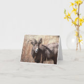 De schapennotecards van het Bighorn Kaart (Gele Bloem)