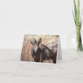 De schapennotecards van het Bighorn Kaart (Voorkant)