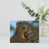 De schatten van een Chipmunk Briefkaart (Staand voorkant)