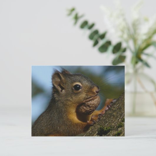 De schatten van een Chipmunk Briefkaart (Staand voorkant)