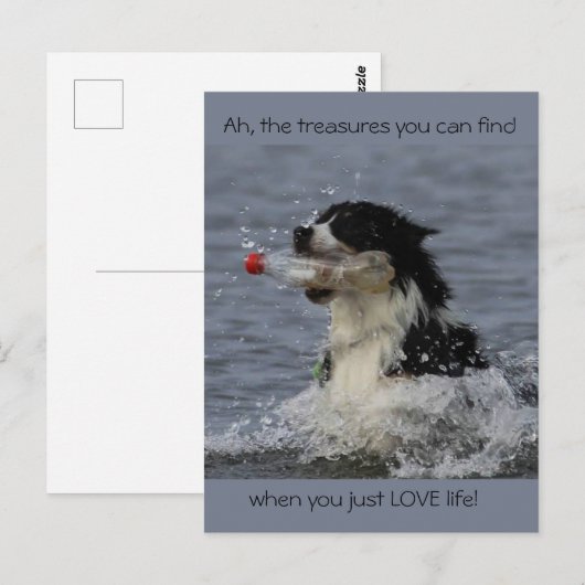 De schatten van het leven, briefkaart (Voorkant / Achterkant)