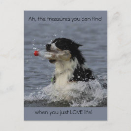 De schatten van het leven, briefkaart