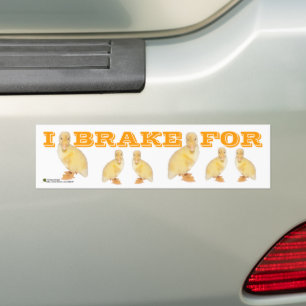 De schattige Gele Foto van het Eendje Bumpersticker
