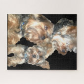 DE SCHATTIGE JORKY LEGPUZZEL (Horizontaal)