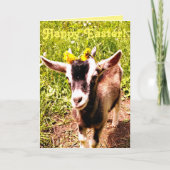 De schattige Kaart van Pasen van de Geit van het (Voorkant)