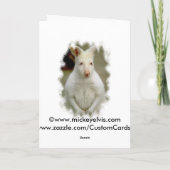 De schattige Leuke Witte Kangoeroe van de Albino Feestdagen Kaart (Achterkant)