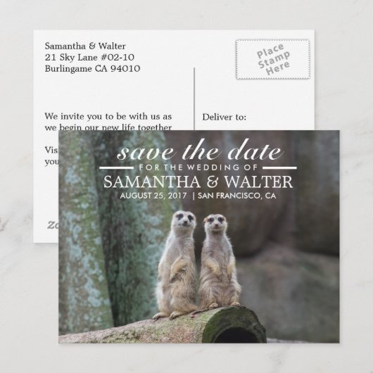 De schattige Meerkats sparen de Datum Aankondigingskaart (Voorkant / Achterkant)