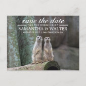 De schattige Meerkats sparen de Datum Aankondigingskaart (Voorkant)