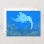 De Schattige walvisvaarder Briefkaart (Voorkant / Achterkant)