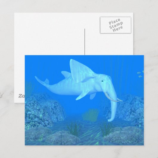 De Schattige walvisvaarder Briefkaart (Voorkant / Achterkant)