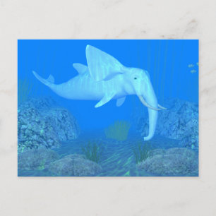 De Schattige walvisvaarder Briefkaart