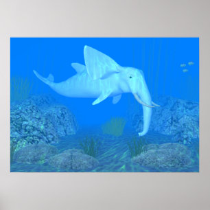 De Schattige walvisvaarder Poster