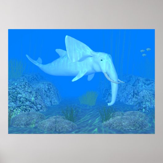 De Schattige walvisvaarder Poster (Voorkant)