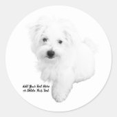 De Schattigee Maltese hond ooit Ronde Sticker (Voorkant)