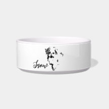 De Schattigee Maltese hond ooit