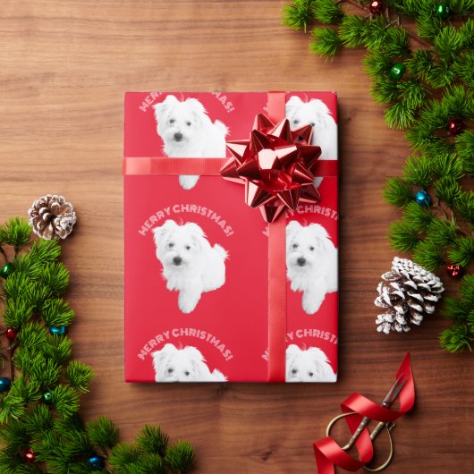 De Schattigee Maltese puppy dog ooit met Kerstmis Cadeaupapier (Feestdagen Geschenken)