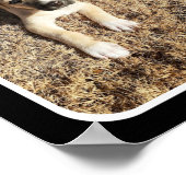 De schattigheid van een puppy poster (Hoek)