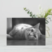 De schattigste kat bedankkaart (Staand voorkant)