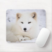 De schattigste witte poolvos die naar je kijkt muismat (Met muis)
