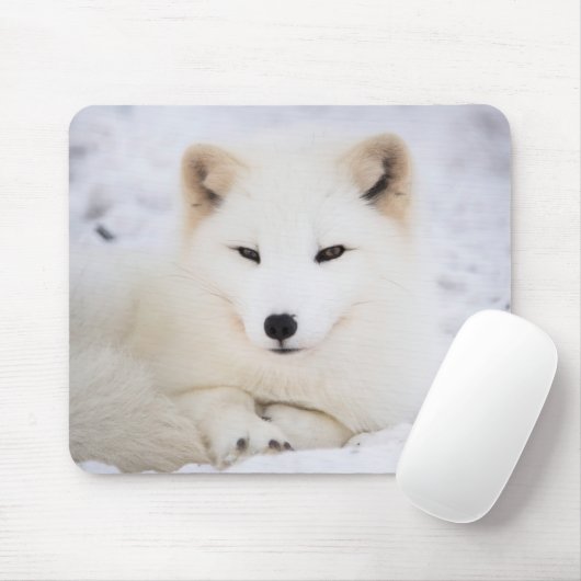 De schattigste witte poolvos die naar je kijkt muismat (Met muis)