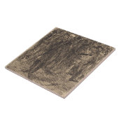 De schedel in de Kroon (door Albert Besnard) Tegeltje (Zijkant)