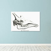 De schedel van een Giraffe Canvas Afdruk (Insitu (Houten vloer))