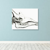 De schedel van een Giraffe Canvas Afdruk (Insitu (Houten vloer))