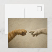 De Schepping van Adam Katten Renaissance Parodie K Briefkaart (Voorkant / Achterkant)