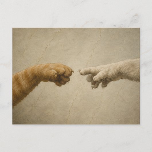 De Schepping van Adam Katten Renaissance Parodie K Briefkaart (Voorkant)