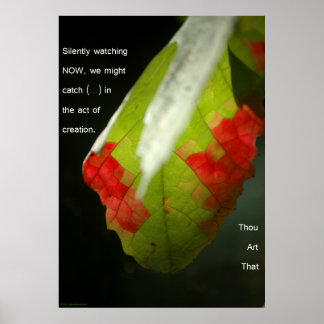 De scheppingsdaad poster