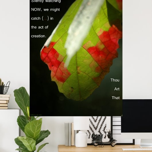 De scheppingsdaad poster (Thuiskantoor)