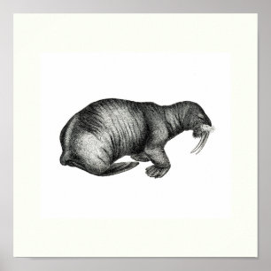  - de Schets van het Ontwerp van de Tekening van d Poster