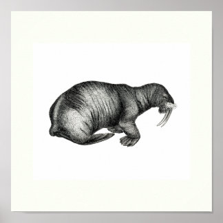 - de Schets van het Ontwerp van de Tekening van d Poster