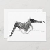 De schetsbriefkaart van de knuppel door Nicole Briefkaart (Voorkant / Achterkant)