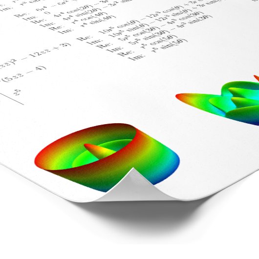 De schijfpolynomials van Frits Zernike Poster (Hoek)