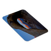 De Schilderachtig Alabama Hills Nestled Magneet (Rechterzijde)