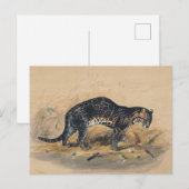 De schilderde Ocelot van Joseph Wolf Briefkaart (Voorkant / Achterkant)