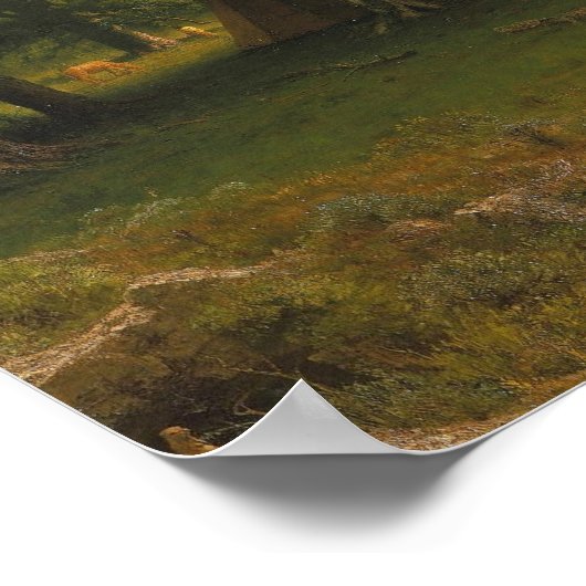 De  schilderingen van het Rocky Mountains Landers  Poster (Hoek)