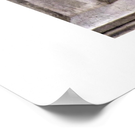 De schildklier van Michelangelo Buonarroti Poster (Hoek)