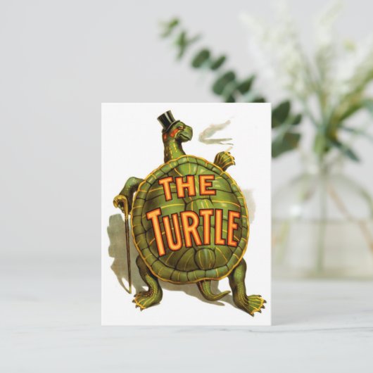 De schildpad briefkaart (Staand voorkant)