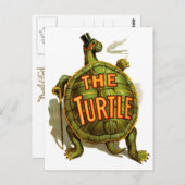 De schildpad briefkaart (Voorkant / Achterkant)