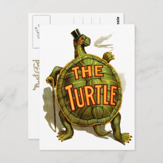 De schildpad briefkaart (Voorkant / Achterkant)