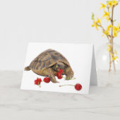 De Schildpad en de Aardbeien van Hermann Kaart (Gele Bloem)