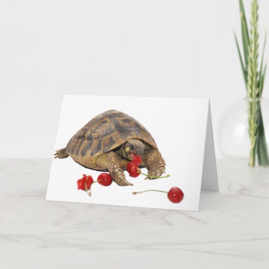 De Schildpad en de Aardbeien van Hermann Kaart (Voorkant)