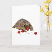 De Schildpad en de Aardbeien van Hermann Kaart (Gele Bloem)