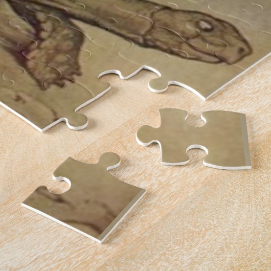 De schildpad en de haas race legpuzzel (Zijkant)