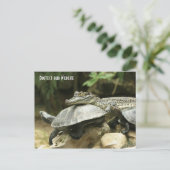 De schildpad en de krokodillenpostkaart briefkaart (Staand voorkant)