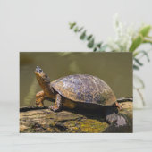 De schildpad in Tortuguero - Costa Rica Kaart (Staand voorkant)