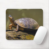 De schildpad in Tortuguero - Costa Rica Muismat (Met muis)